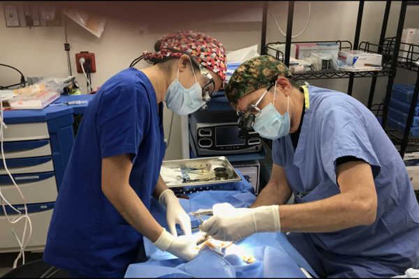 Photo of Dr. Fialkov and colleague performing surgery