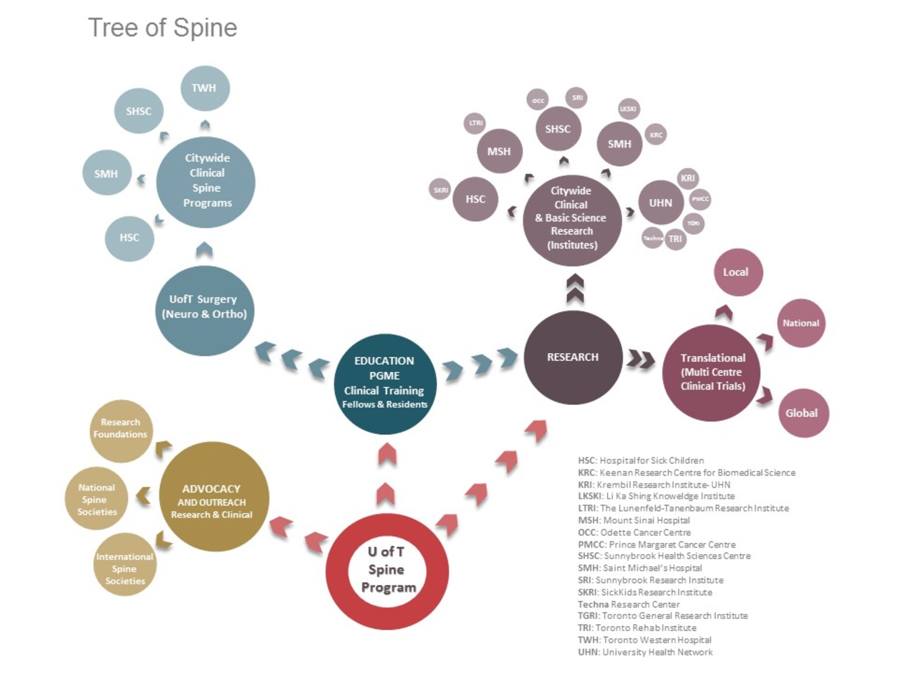 Tree of Spine