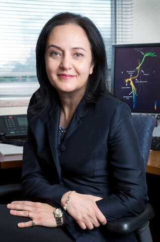 Mojgan Hodaie Mojgan Hodaie